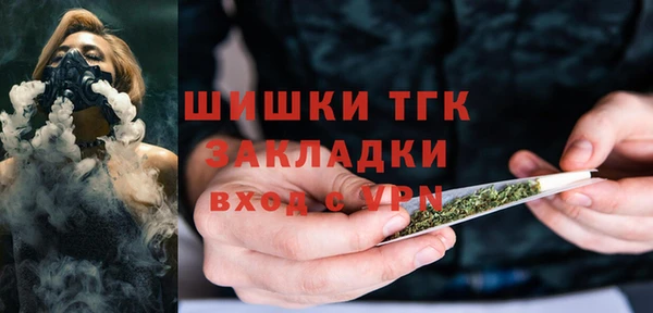 мет Инсар