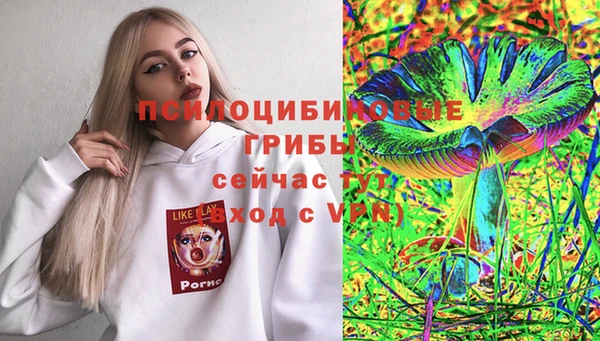 ешки Шарыпово