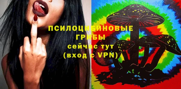 мет Инсар