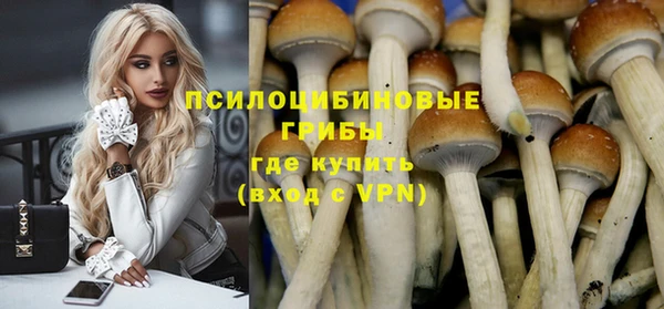 мет Инсар