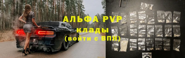 прущая мука Иннополис
